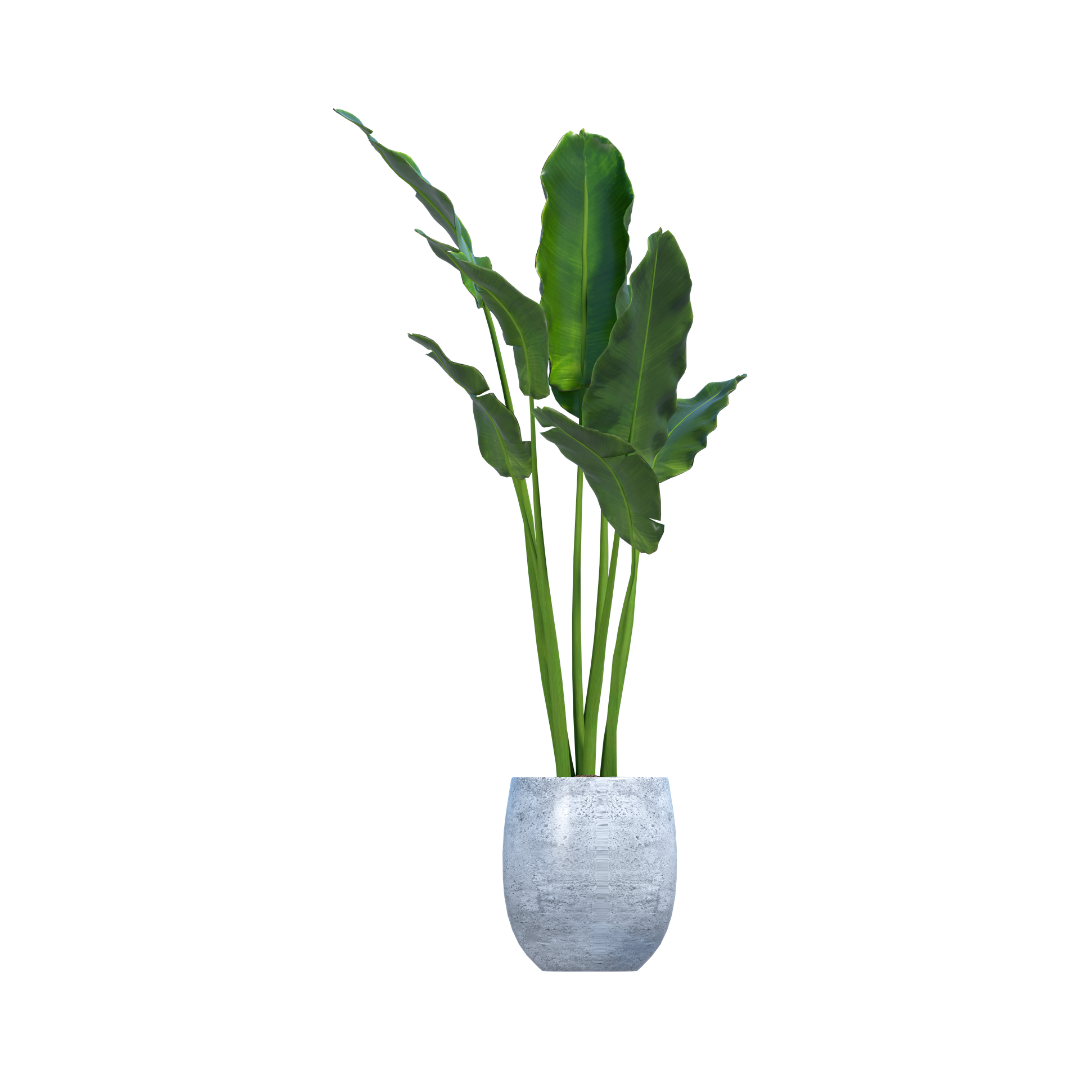 1 Bunch with 7 Flowers No Vase Realistic Artificial Flowers for Vase - Image 3
